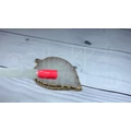 Kép 3/3 - 3step géllakk 4ml #041 Korall