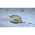 Kép 3/3 - 3step géllakk 4ml #137 Arista