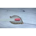 Kép 3/3 - 3step géllakk 4ml #139 Hawaii naplemente
