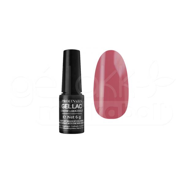 Profinails led/uv lakkzselé 6g no.173