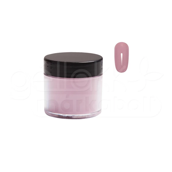Épitő Porcelánpor 25g #008 Beata